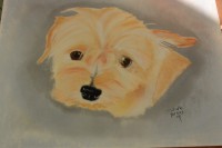 /album/galerie-photos/photo-1346-jpg/